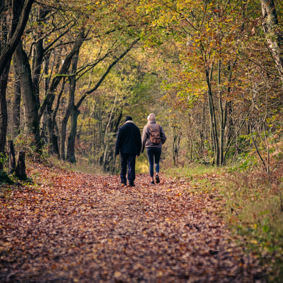 Couple enjoying an Autumn walk on Exmoor