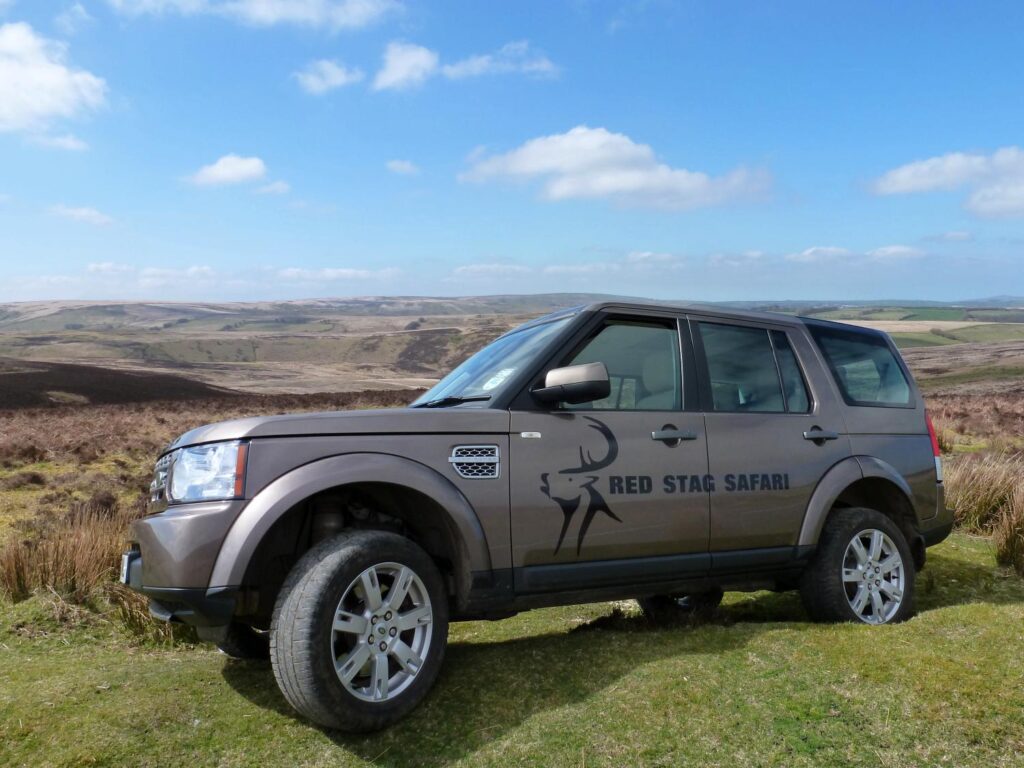 Things to do in Exmoor Red Stag Safari wildlife experience