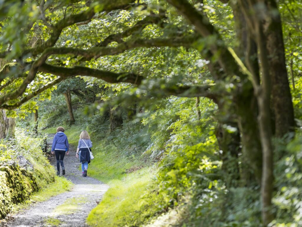 Coastal walk to Heddon's Mouth through Heddon Valley in Exmoor National Park