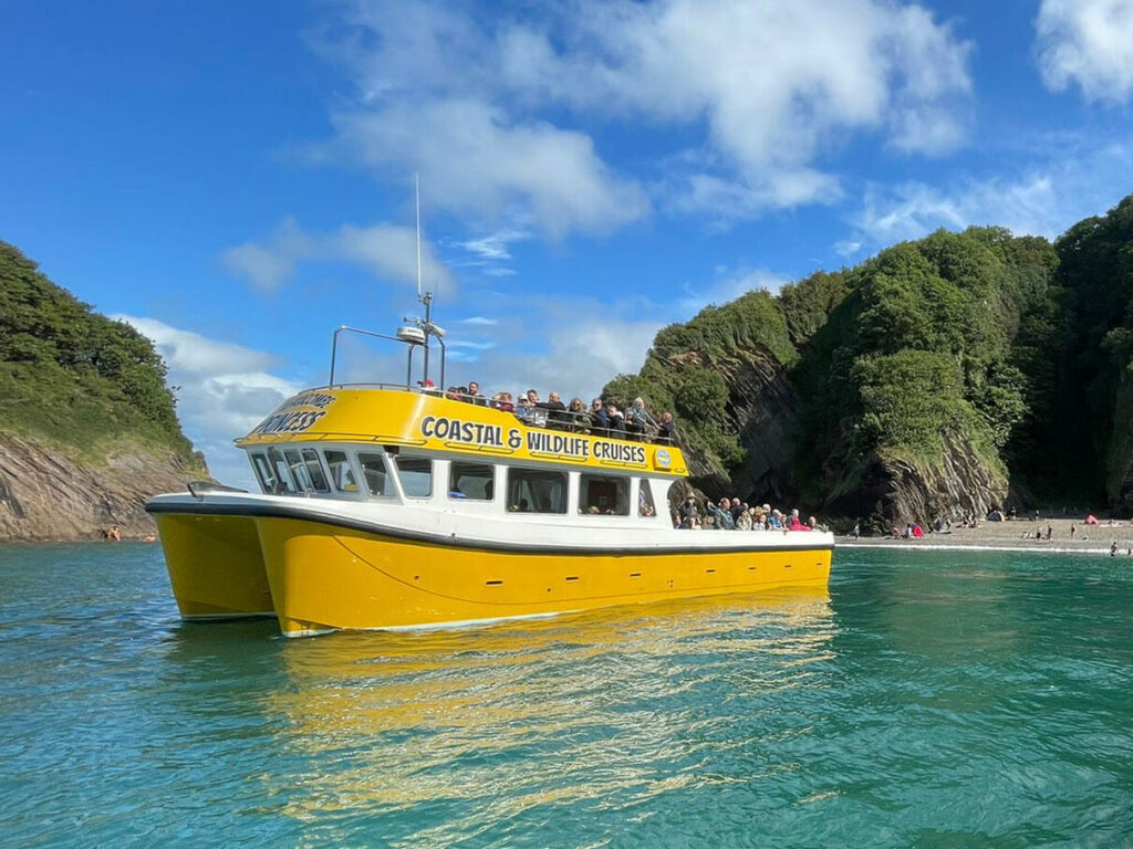 Ilfracombe Princess wildlife cruise exploring the North Devon coast