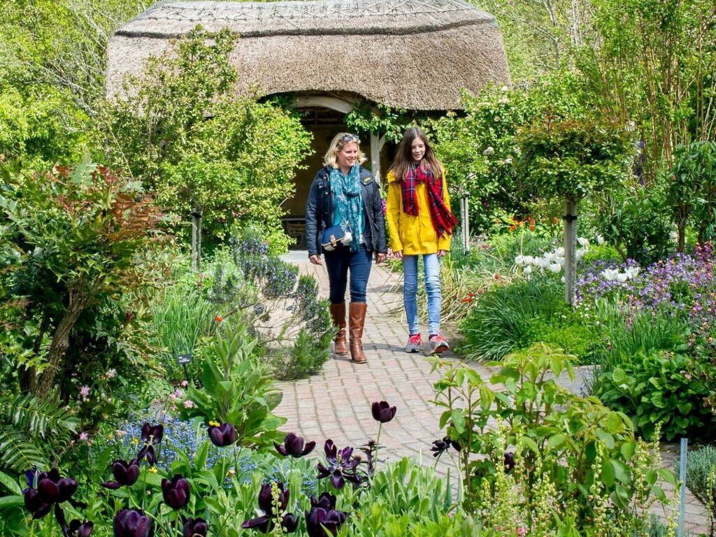 Colourful gardens at RHS Garden Rosemoor near Great Torrington, Devon