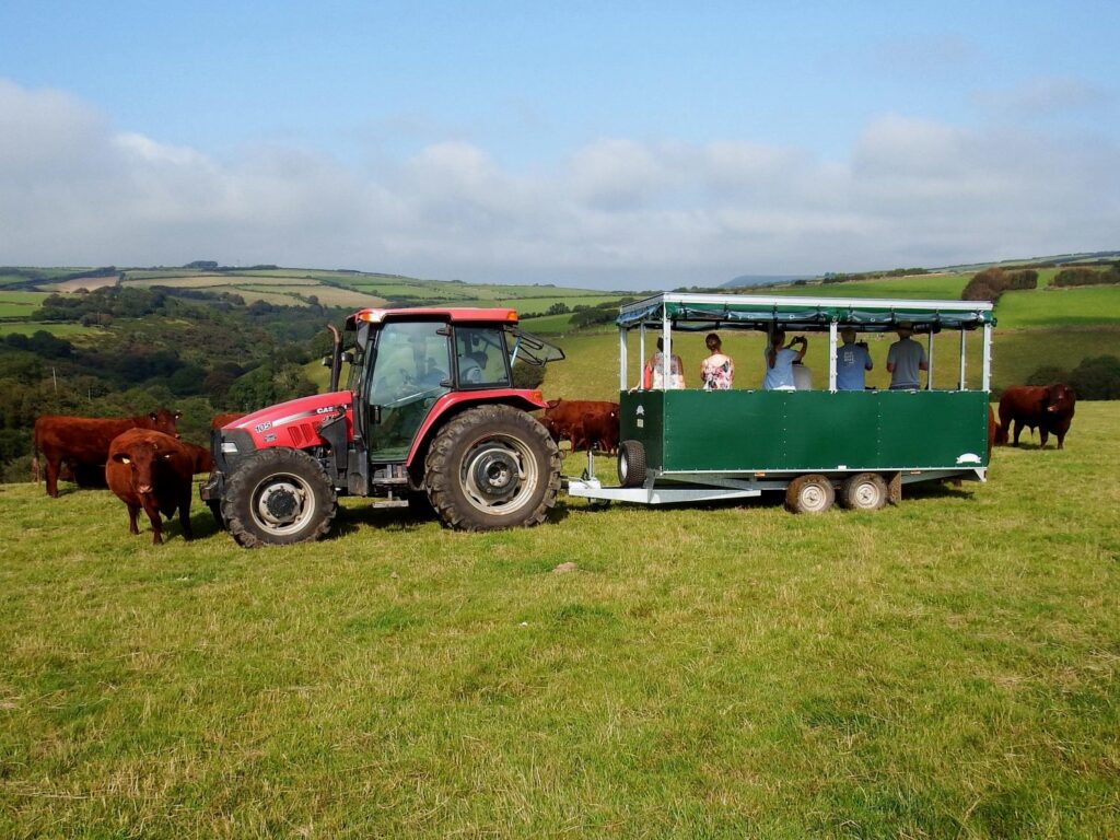 West Ilkerton Farm on Exmoor with farm tours and tractor trailer rides